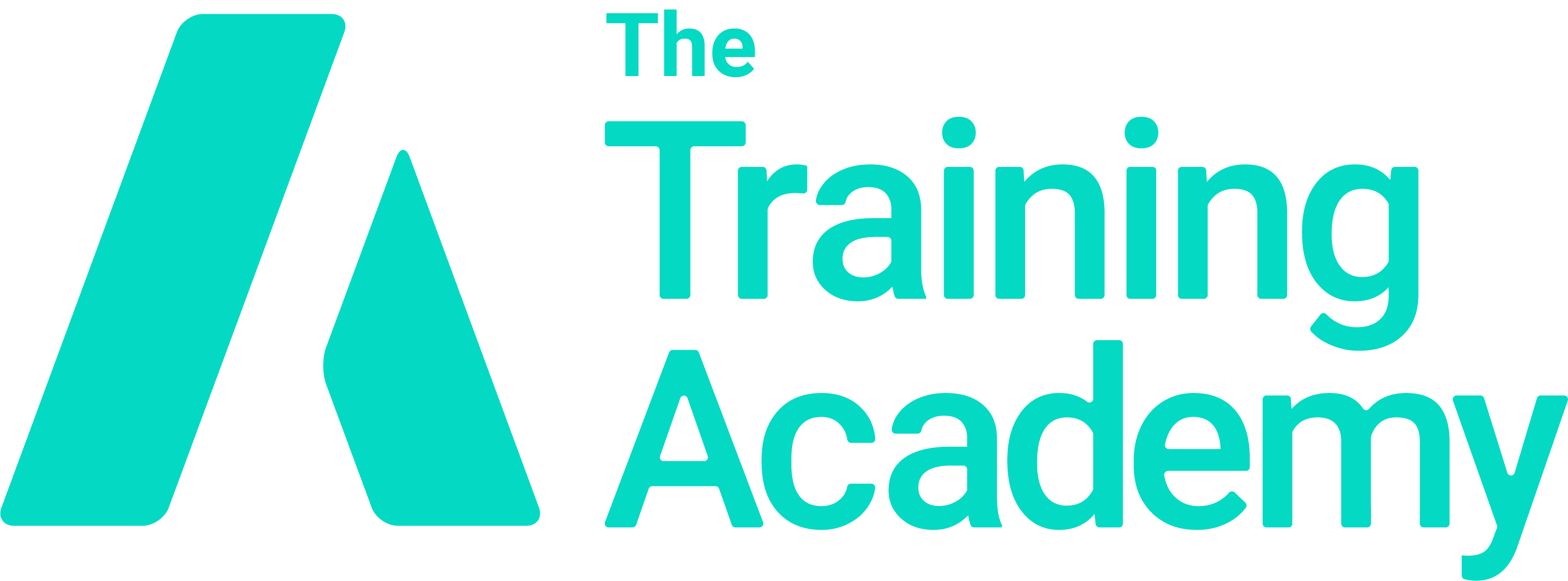 The Training Academy